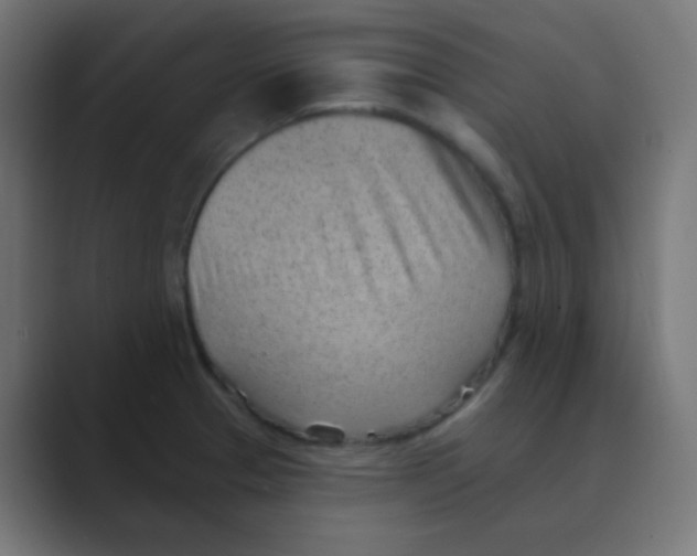 X0000088451329200706191304