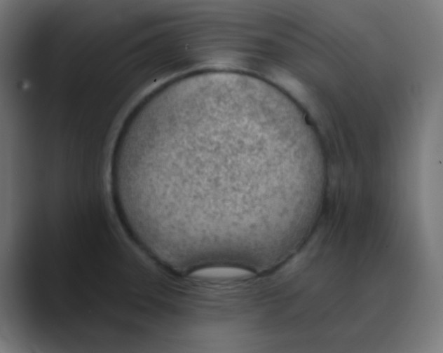 X0000088451331200706191304