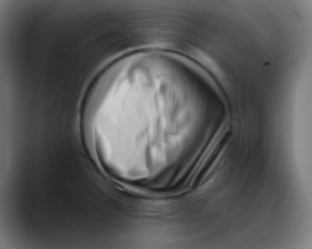 X0000088451332200706191304