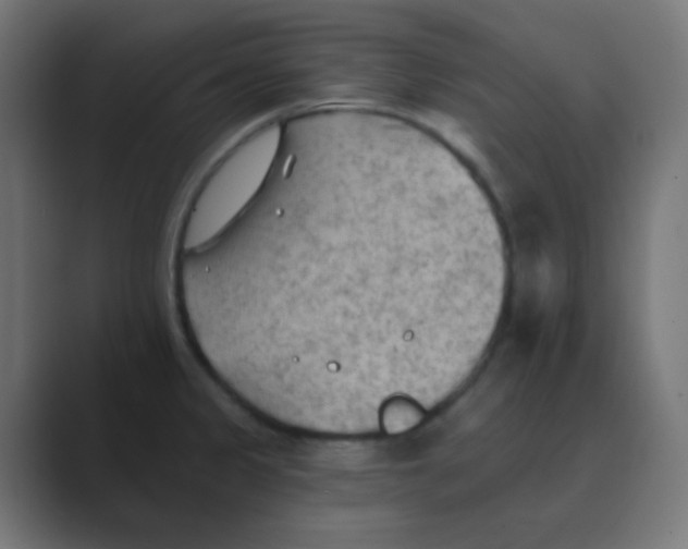X0000088451333200706191304