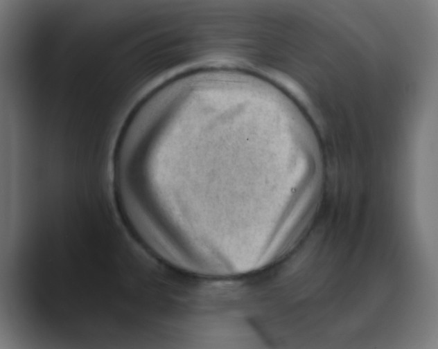 X0000088451335200706191304