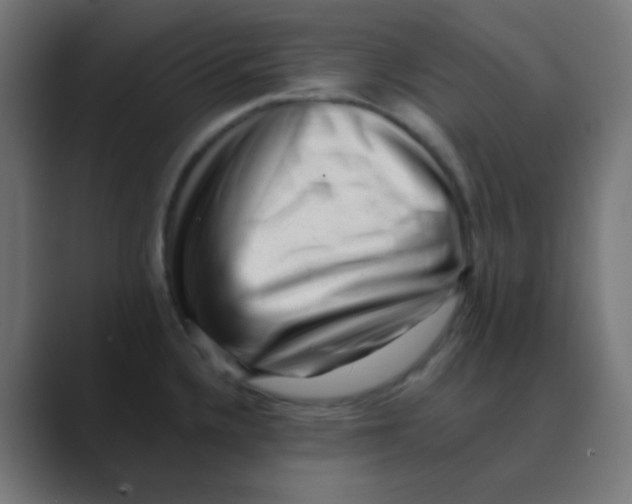 X0000088451336200706191304