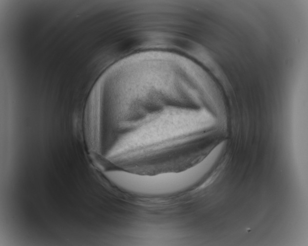 X0000088451337200706191304