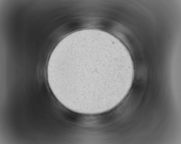 X0000088451338200706191304