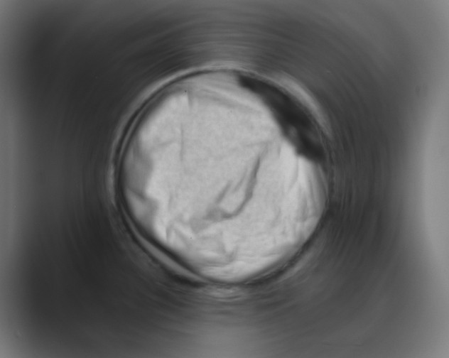 X0000088451340200706191304