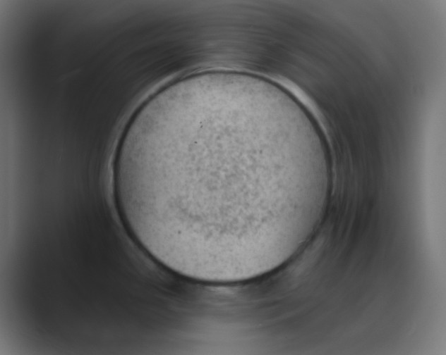 X0000088451341200706191304