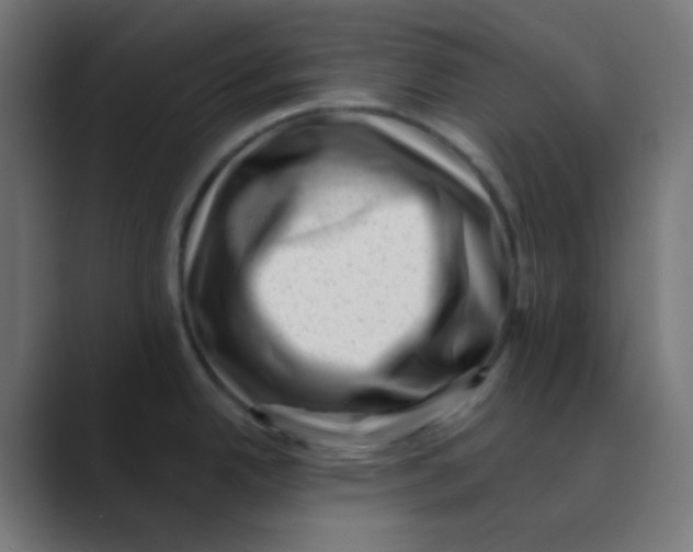 X0000088451342200706191304