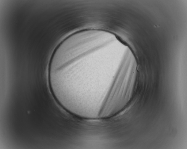 X0000088451343200706191304
