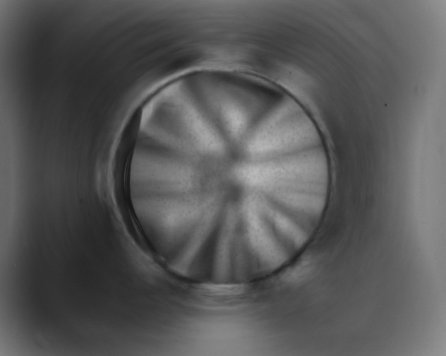 X0000088451344200706191304