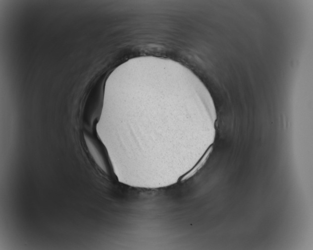X0000088451345200706191304