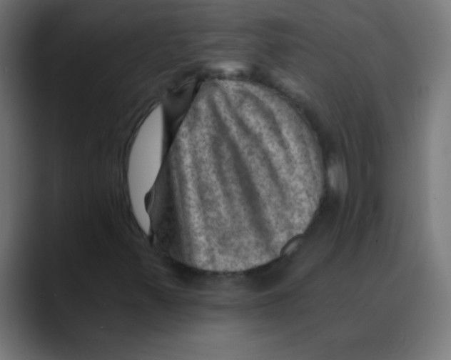 X0000088451347200706191304