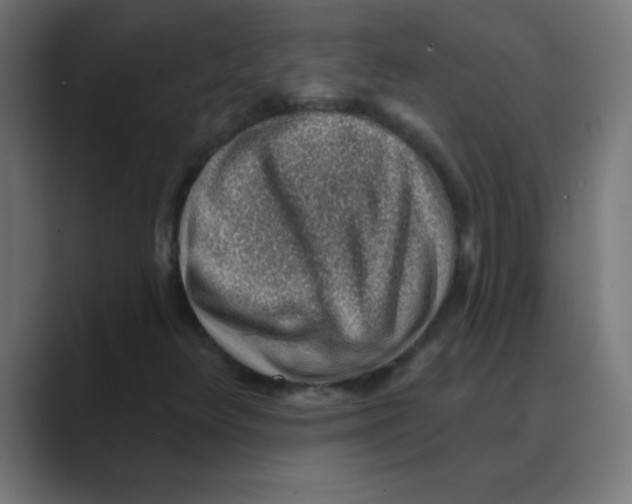 X0000088451348200706191304