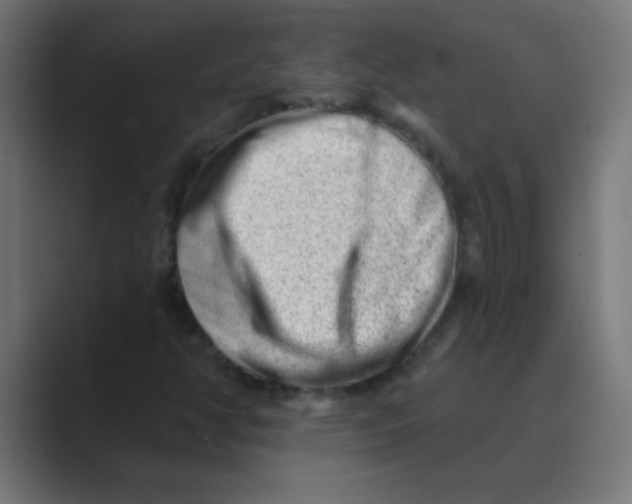 X0000088451350200706191303