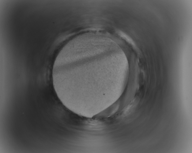 X0000088451352200706191303