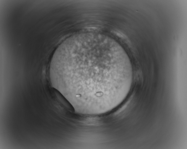 X0000088451353200706191303