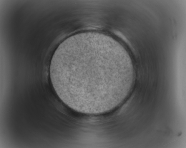 X0000088451355200706191303