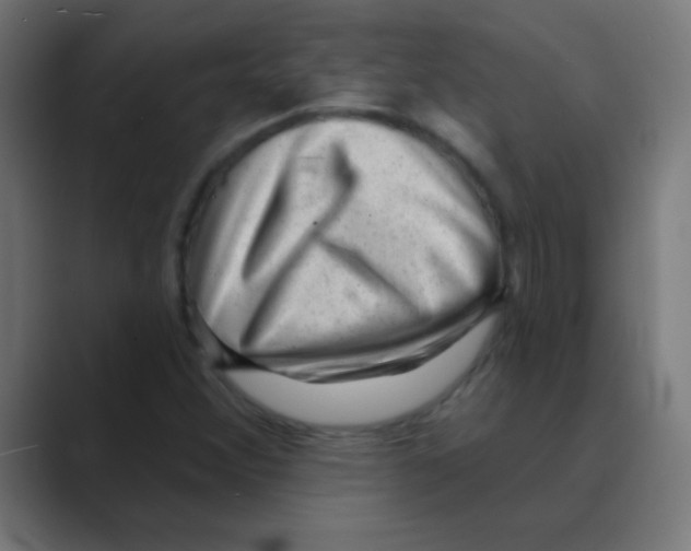 X0000088451356200706191303