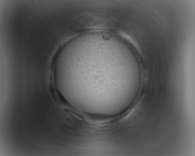 X0000088451357200706191303