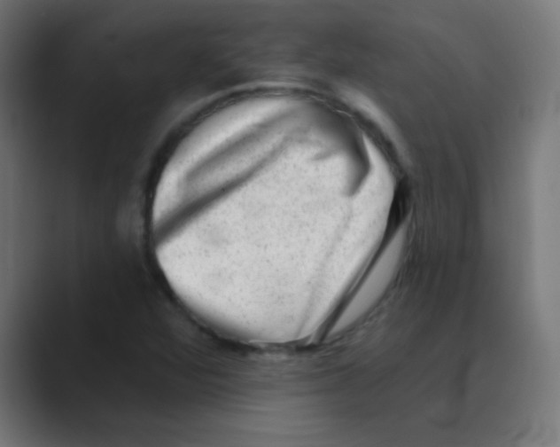X0000088451360200706191303