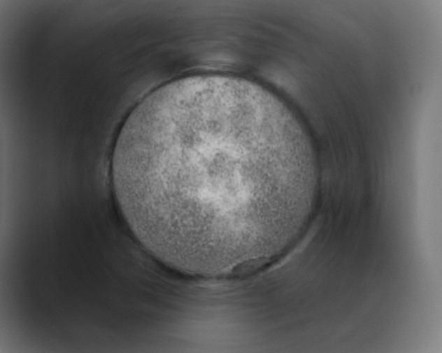 X0000088451362200706191303