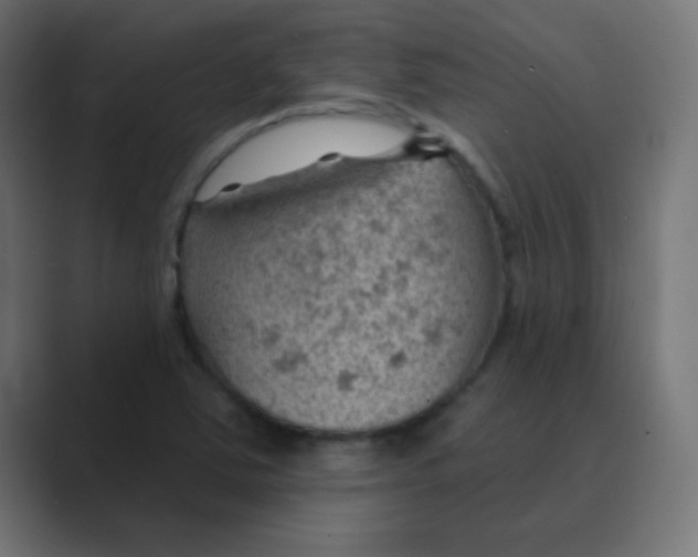 X0000088451363200706191303