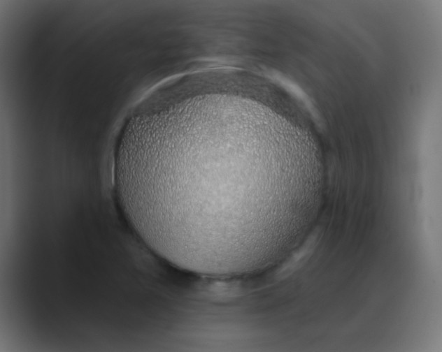 X0000088451365200706191303