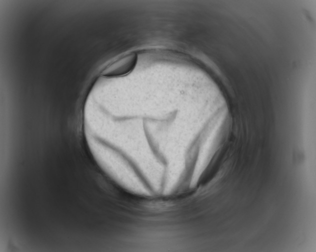X0000088451366200706191303