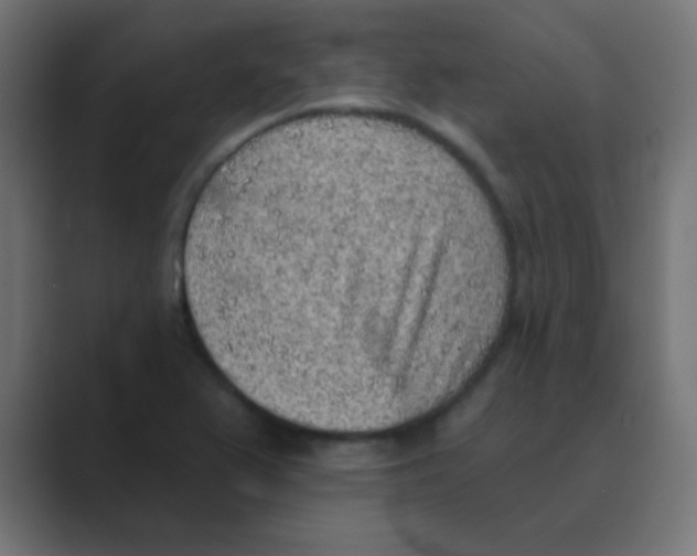 X0000088451367200706191303