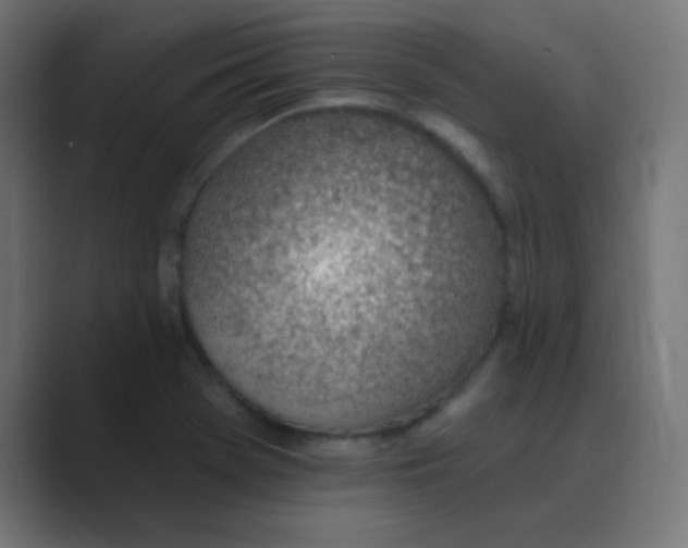 X0000088451369200706191303