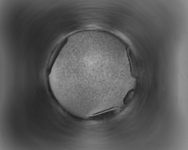 X0000088451373200706191303