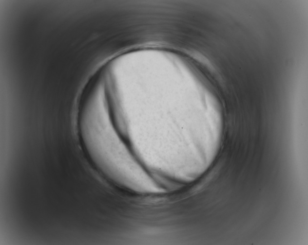 X0000088451374200706191303