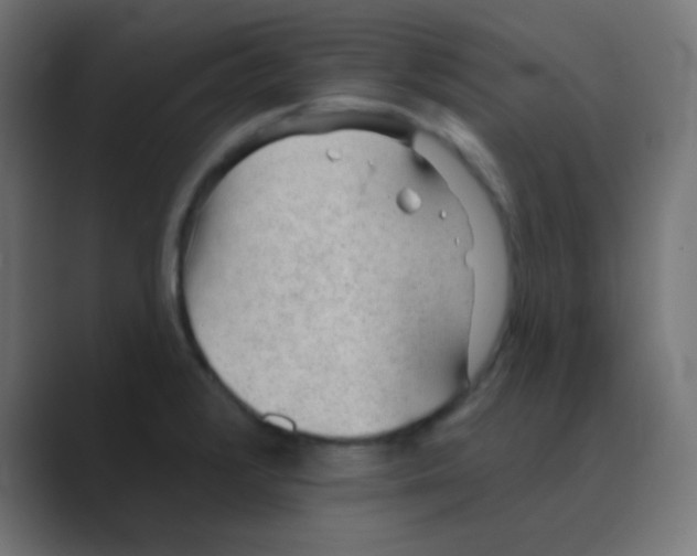 X0000088451376200706191303