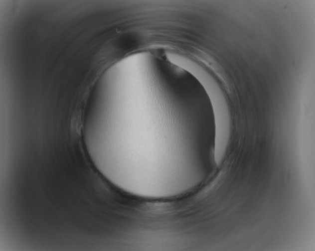 X0000088451377200706191303
