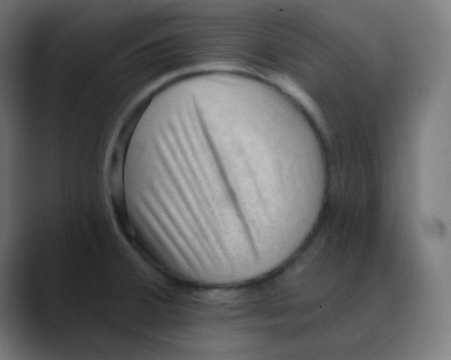 X0000088451380200706191303
