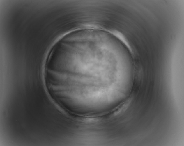 X0000088451381200706191303