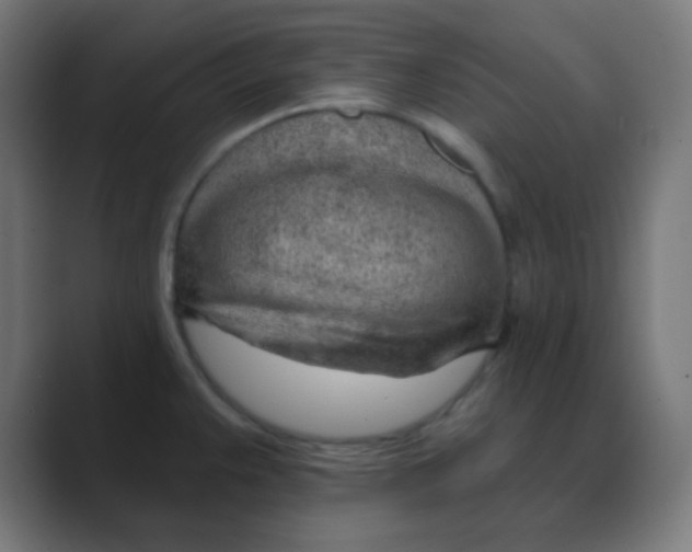 X0000088451383200706191303