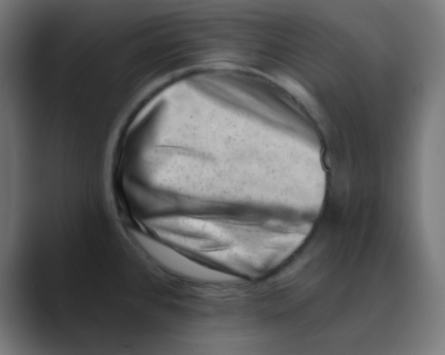 X0000088451384200706191303