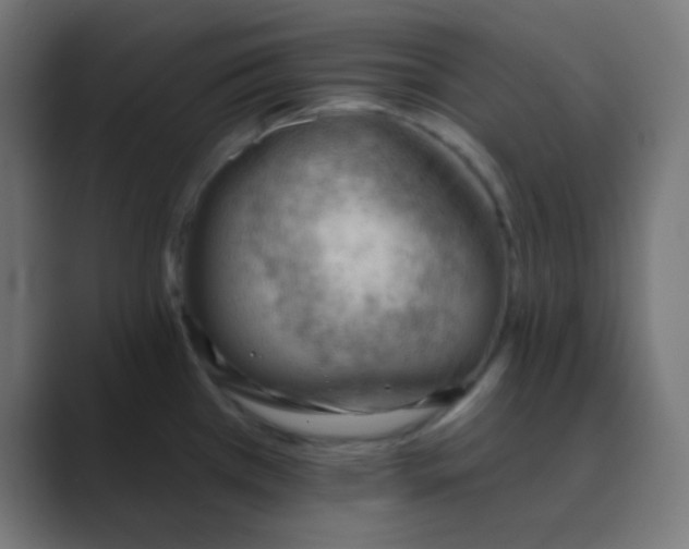 X0000088451385200706191303