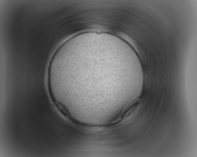 X0000088451387200706191303