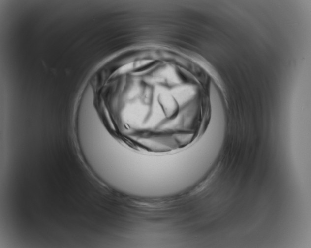 X0000088451388200706191303