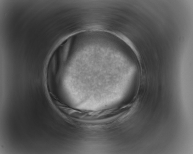 X0000088451389200706191303