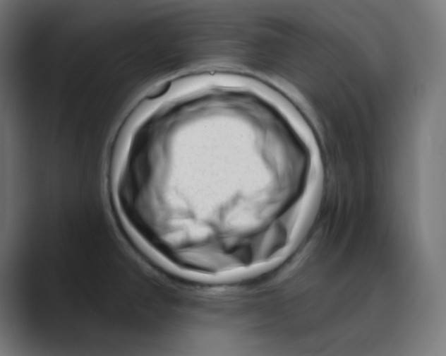 X0000088451390200706191303