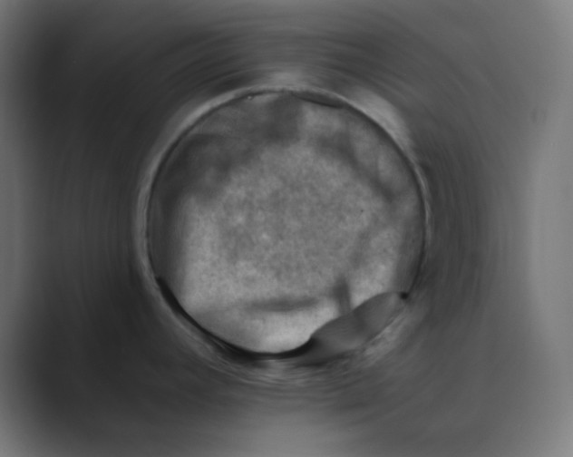 X0000088451392200706191303