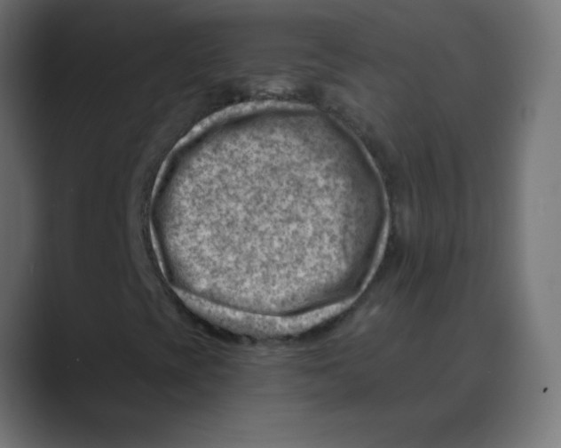 X0000088451393200706191302