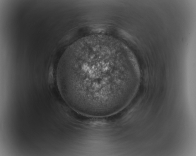 X0000088451394200706191302