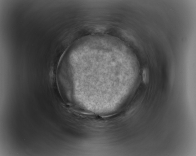 X0000088451395200706191302