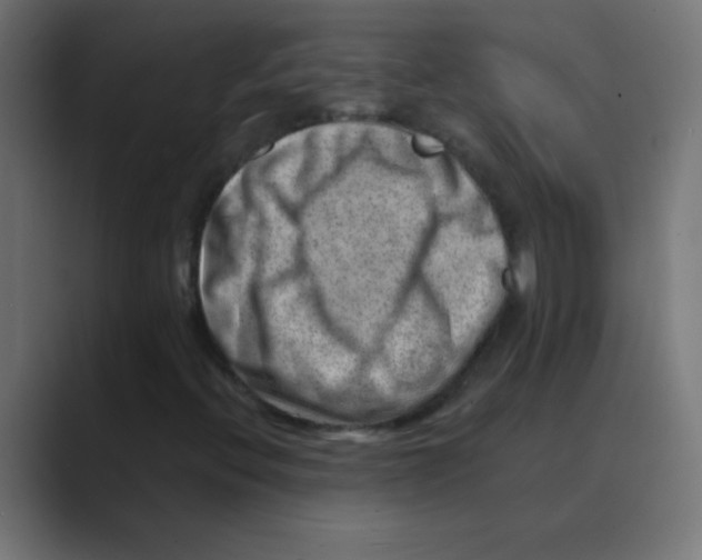 X0000088451396200706191302