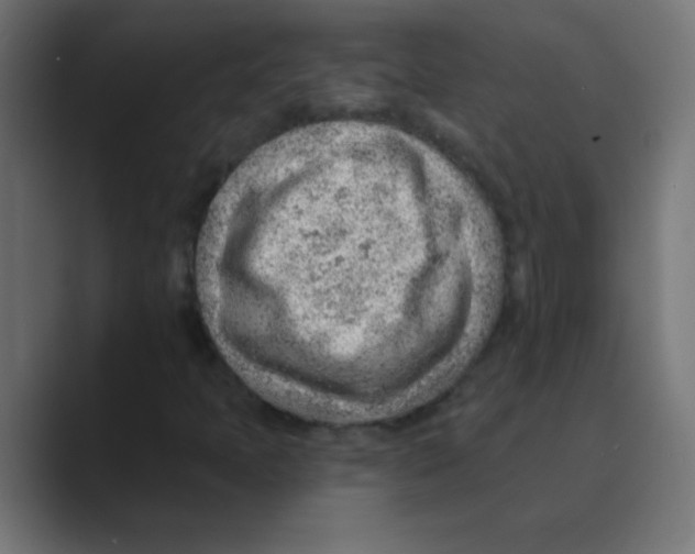 X0000088451397200706191302
