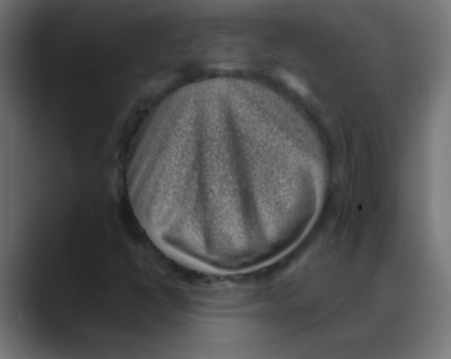 X0000088451398200706191303