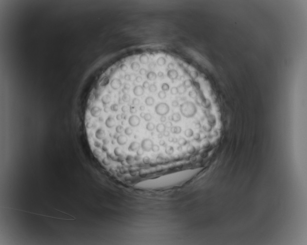 X0000088451400200706191303